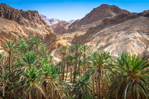 Mountain oasis Chebika at border of Sahara, Tunisia, Africa