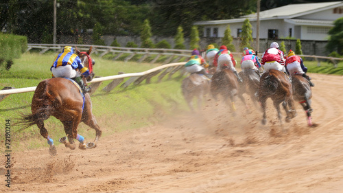 A racehorse and jockey in a horse race