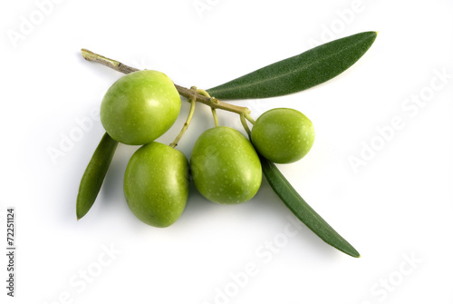 little branch of olives isolated
