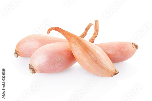 Shallot onions group on white, clipping path