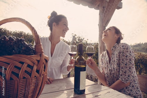 Two Cheerful Female Drinking Wine