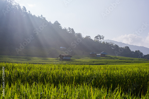 Terrace rice fields in the morning at Mae chaem, Chaing Mai, Tha