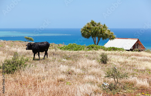 paysage de campagne, île Rodrigues