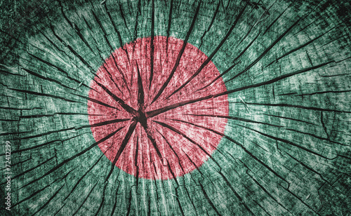 Flag of Bangladesh