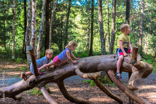 Siblings climbing on a big log in a forest