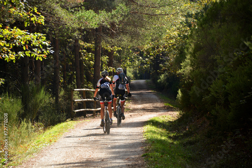carrera ciclista a traves del bosque