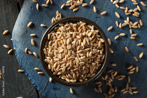 Organic Raw Farro Grain