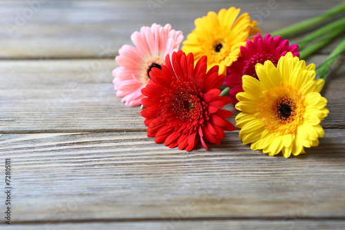 multicolored gerbera on wooden background