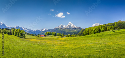 Idyllic summer landscape in the Alps