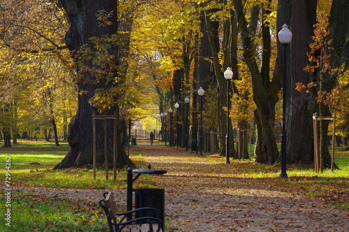 Jesień w parku.