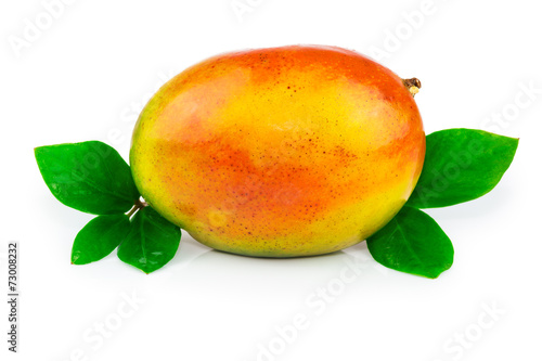 Mango fruit with leaves
