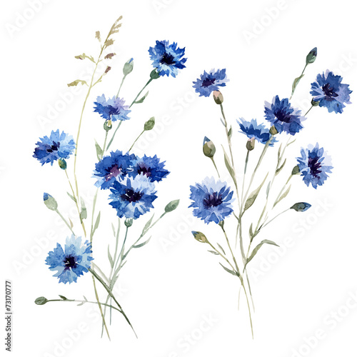 Blue flowers 8