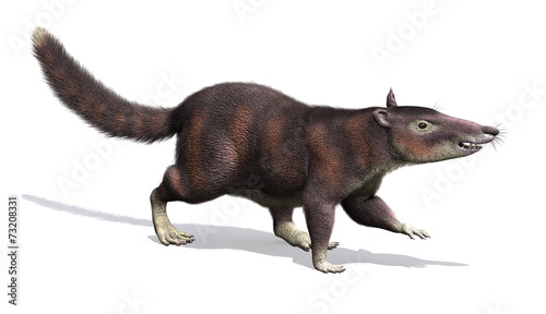 Cronopio - Prehistoric Mammal