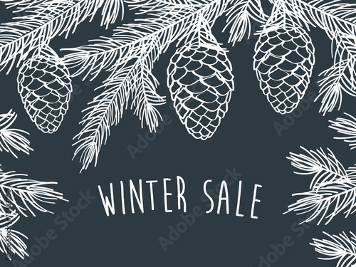 Winter sale. Winter background with pine branches with cones.