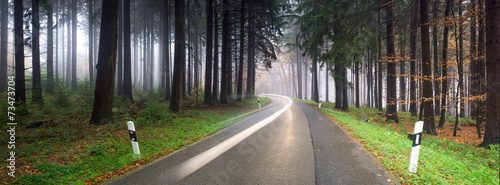 Straßenverkehr im Wald bei Nebel