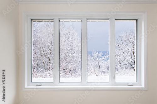 Window with view of winter trees