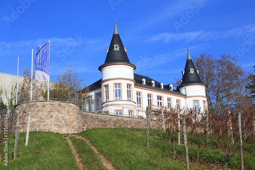 Schloss Hansenberg im Rheingau (Noveber 2014)