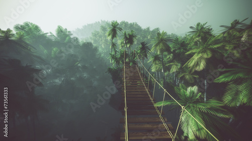 Rope bridge in misty jungle with palms. Backlit.