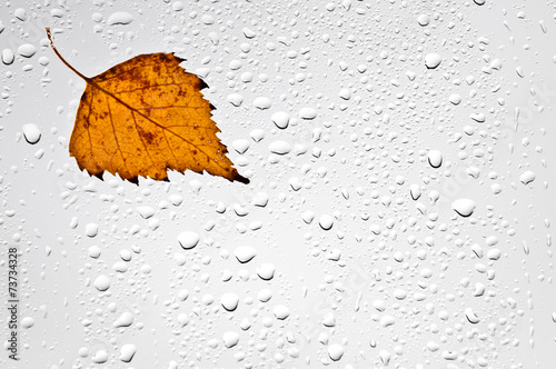 Kolorowy jesienny liść i krople deszczu na oknie