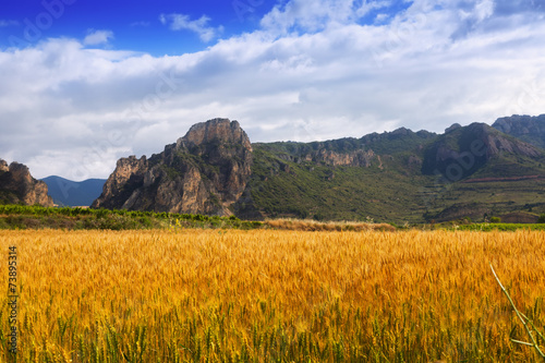 Rural landscape in summer day. La Rioja