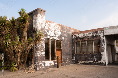 Palm Trees Beside Abandoned Gas Service Station Ghost Town