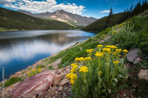 Flower lake