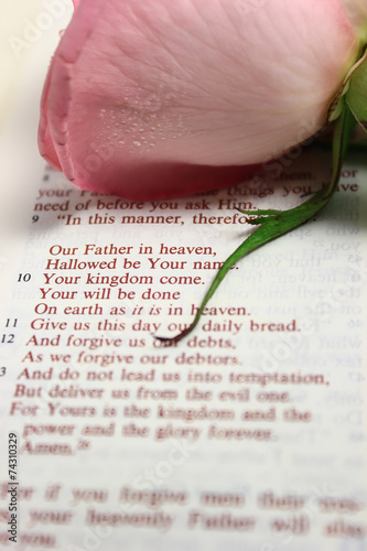 Bible Open to the Lord's Prayer with a Pink Rose on the Page.