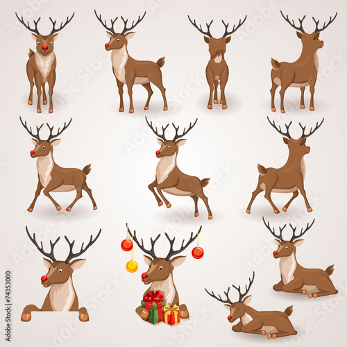 Reindeer set