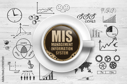 MIS Management Information System