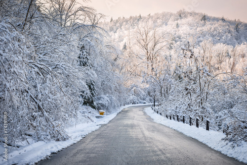 Winter road in snowy forest