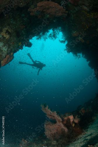 Diver, sea fan in Ambon, Maluku, Indonesia underwater