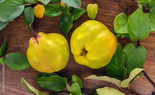 two ripe yellow quince