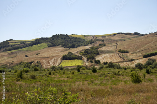 Campagna nei dintorni di andria