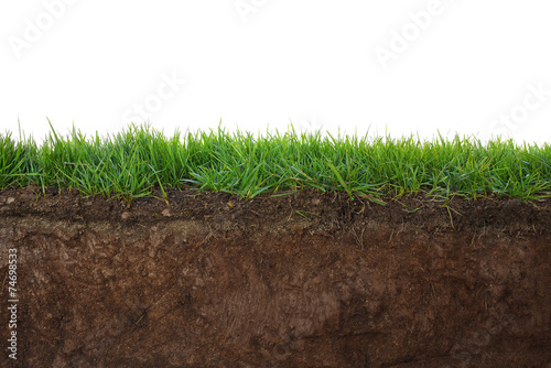 Grass and soil