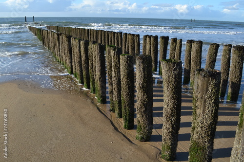 Golfbrekers in de Westerschelde