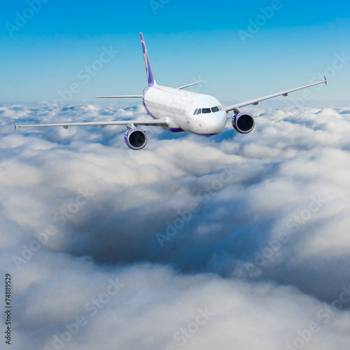 Airplane in Flight
