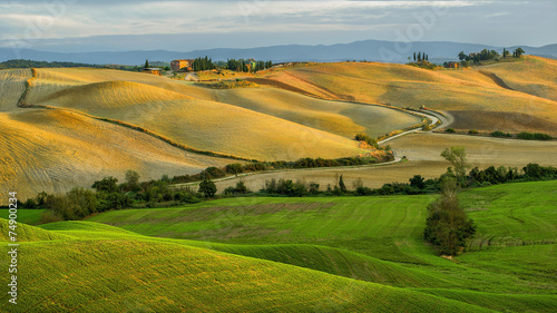 Toscania , Włochy, Multipulcjano, krajobraz wiejski