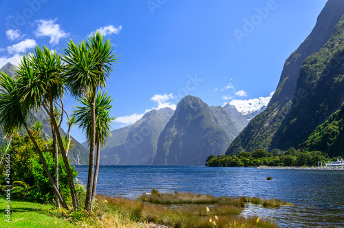 Milford Sound. New Zealand