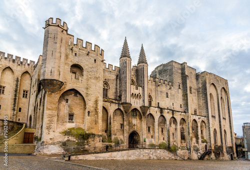 Palais des Papes in Avignon, a UNESCO heritage site, France