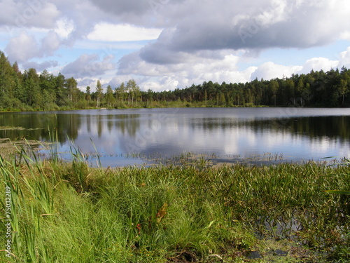 Lake in the Russian taiga