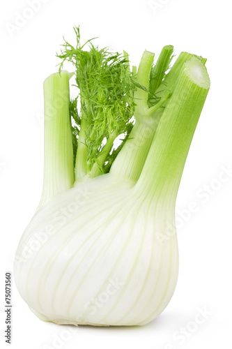 fennel