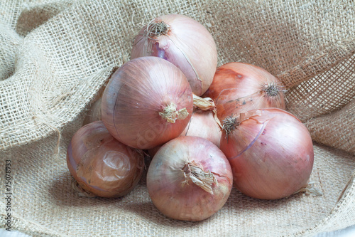 Oignons rosés de Roscoff - Allium cepa - sur toile de jute