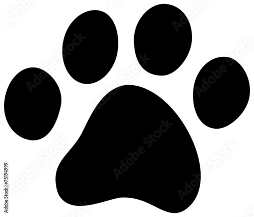 cat dog paw
