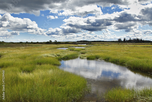 Moorlandschaft