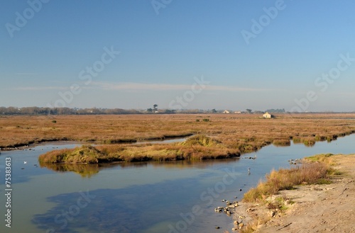 Polder de Noirmoutier