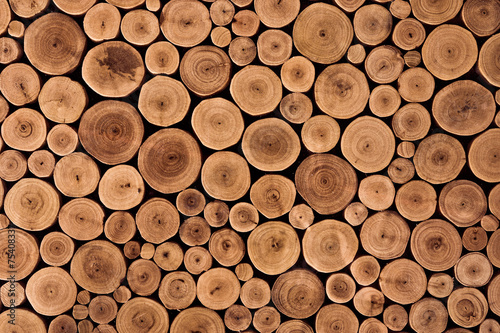 round teak wood stump background