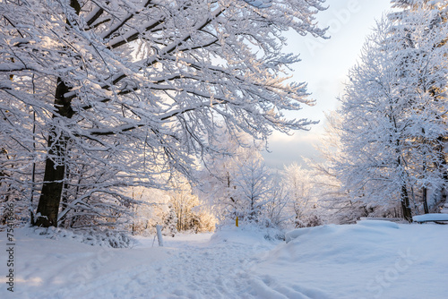 Piękna zima w polskich górach - Beskidy