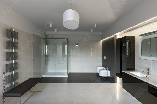 Luxury bathroom interior