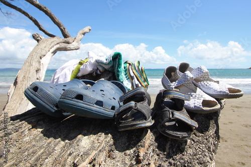 Sandals on a branch by the sea