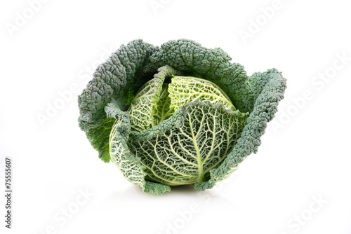 fresh savoy cabbage